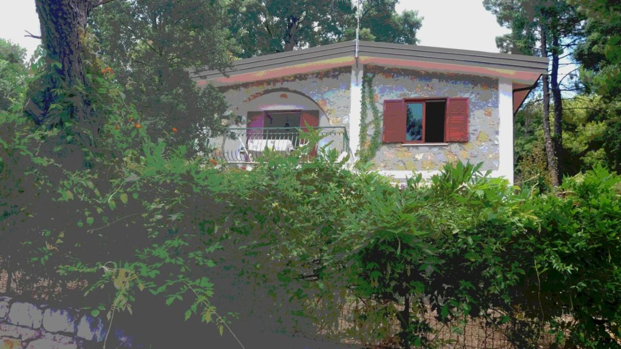 Villa Luisa Sul Mare 카피텔로 외부 사진