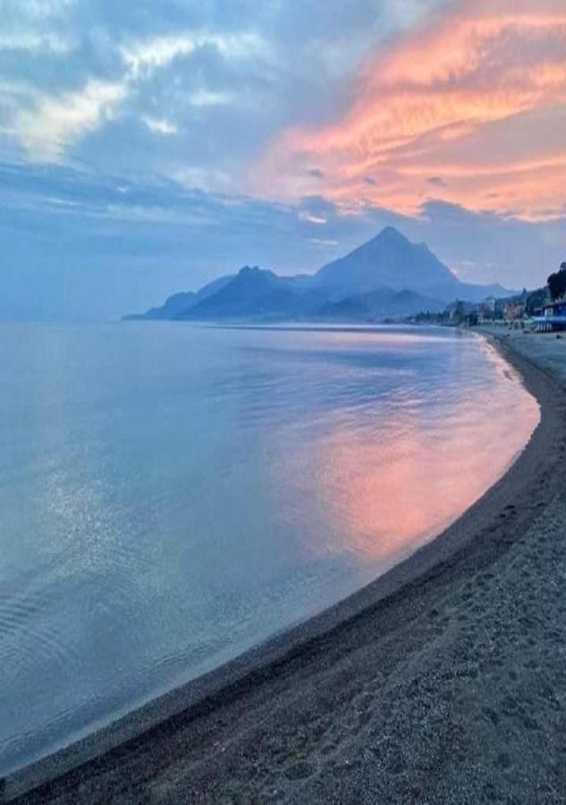 Villa Luisa Sul Mare 카피텔로 외부 사진