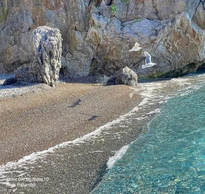 Villa Luisa Sul Mare 카피텔로 외부 사진